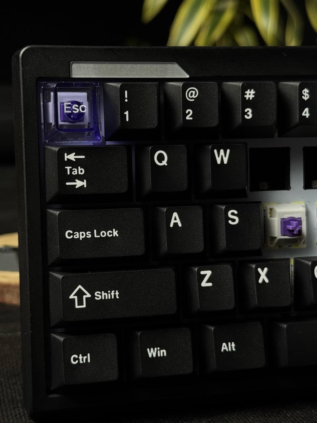 Epomaker Magcore65 Lite - Image 12