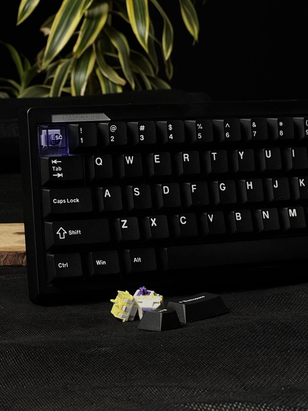 Epomaker Magcore65 Lite - Image 9